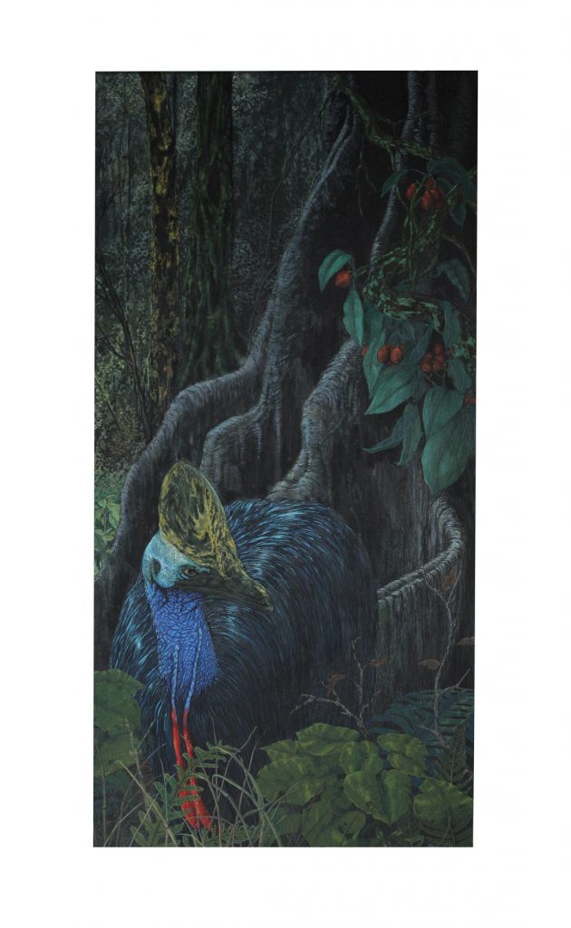 Cassowary